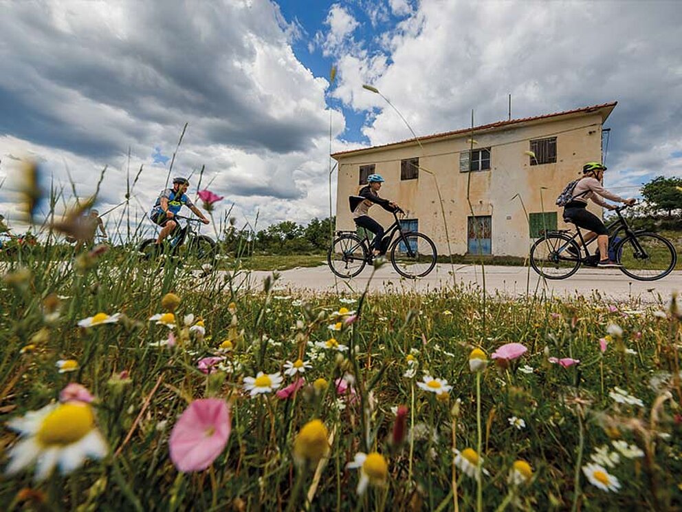 3 Radfahrer auf einer Straße, im Hintergrund ein kroatisches Haus, im Vordergrund eine Blumenwiese