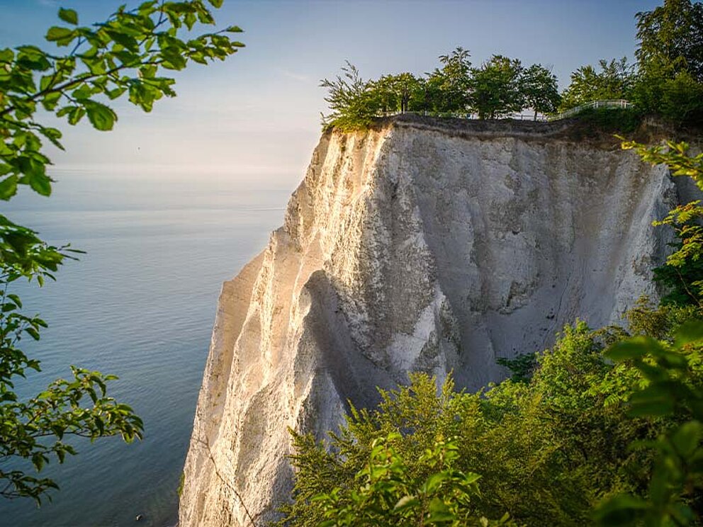 Kreidefelsen im Nationalpark Jasmund