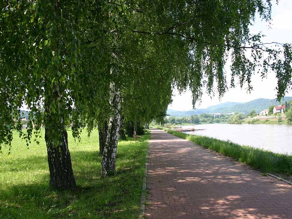 Unterwegs am Elberadweg neben dem Fluss