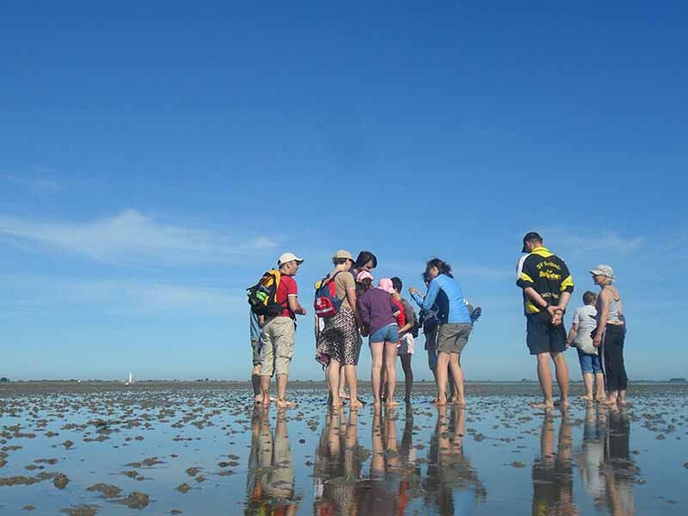 Wattwanderung an der Badestelle Lundenbergsand in Husum 