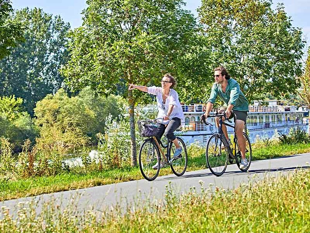 2 Radfahrer am asphaltierten Radweg, im Hintergrund der Main und ein Schiff