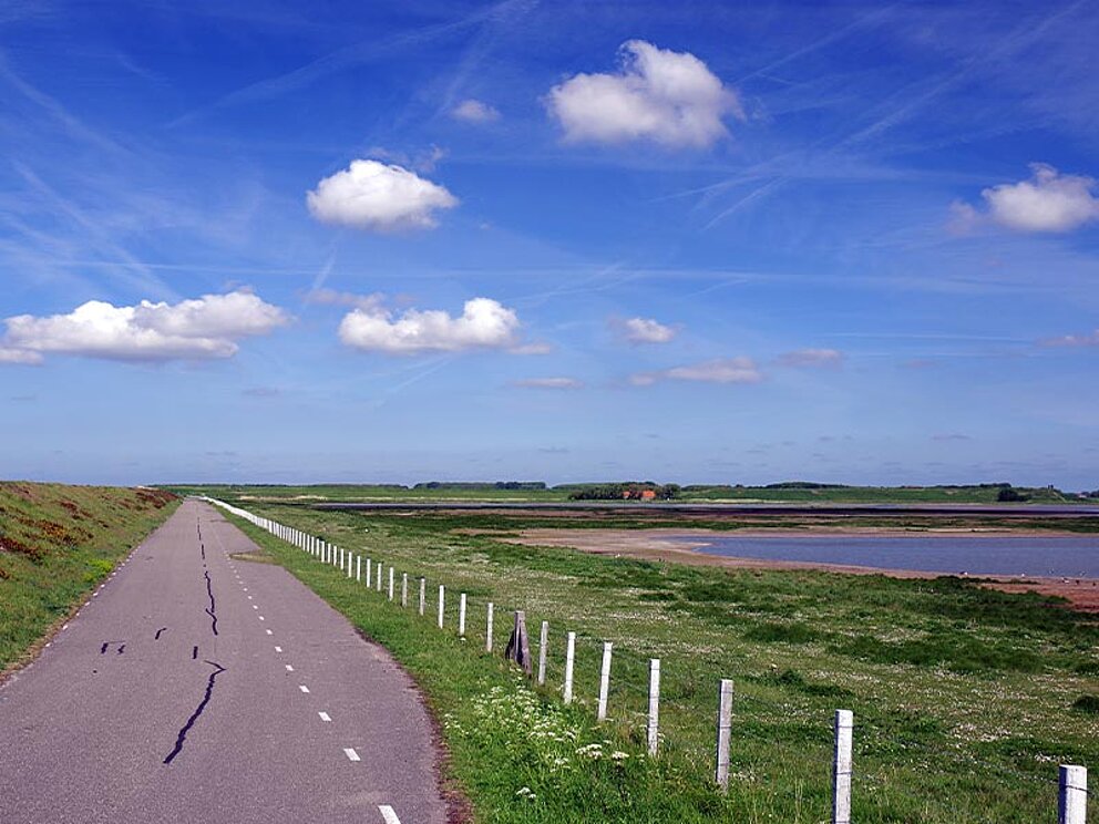 ein Radweg mitten im Nationalpark umgeben von Wiesen und Wasser