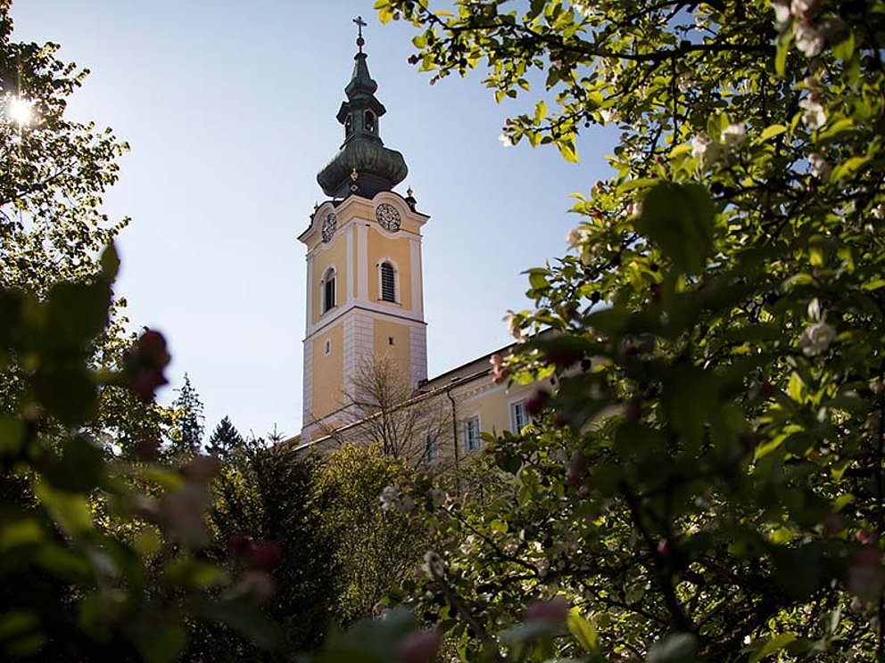 Kirchturm von Stift Schlägl