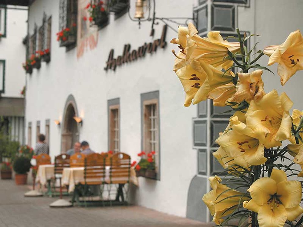 Landhotel Agathawirt in Bad Goisern