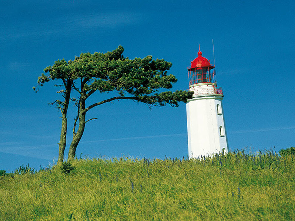Der Leuchtturm auf der Insel Hiddensee