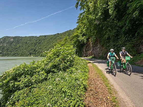 Schlögener Schlinge auf dem Donauradweg