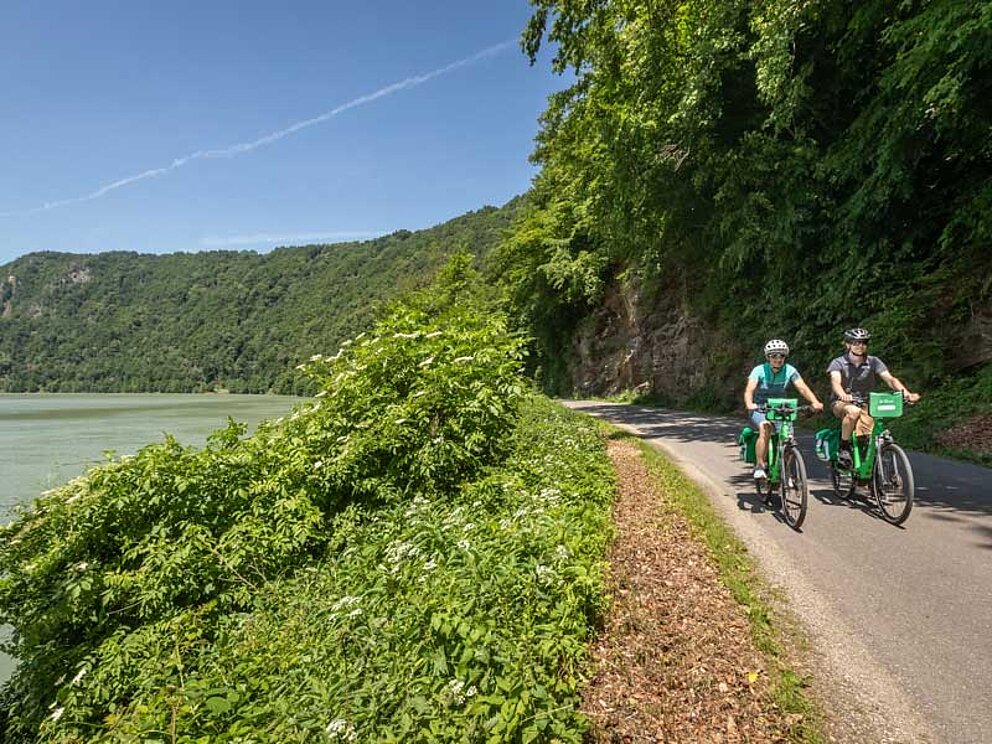 Schlögener Schlinge auf dem Donauradweg