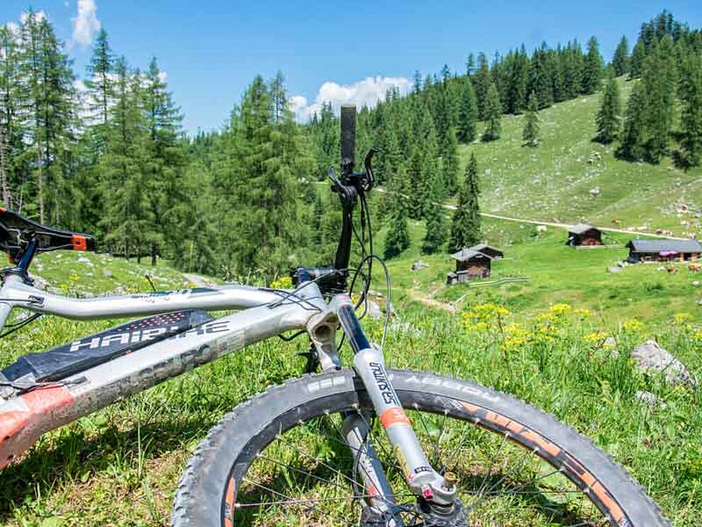 Gotzenalm im Nationalpark Berchtesgaden