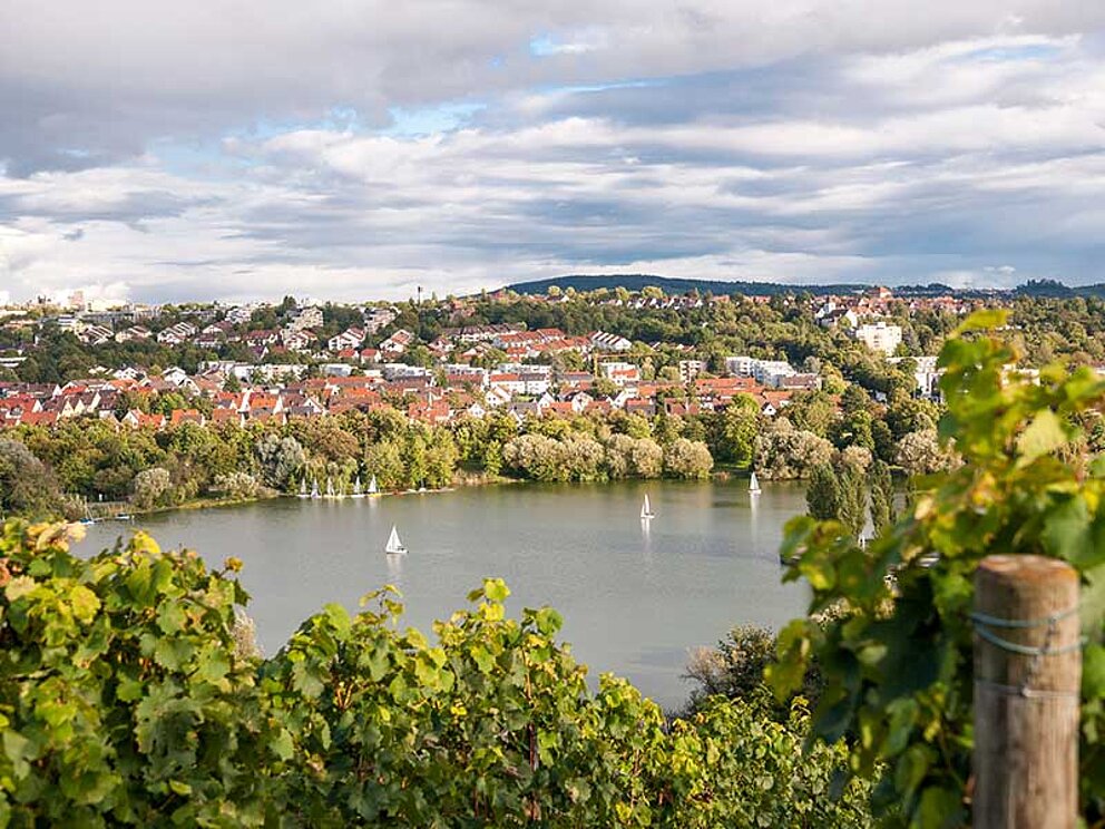 Blick auf Suttgart, im Vordergrund der Max Eyth See