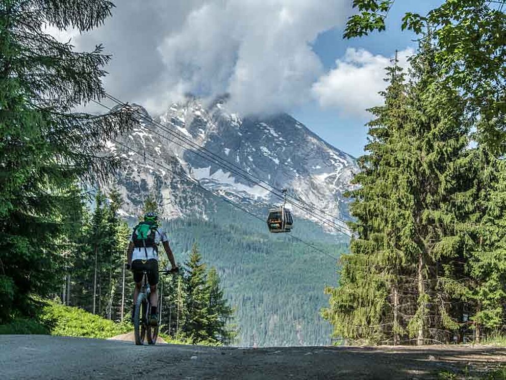 Mountainbiker am Jenner
