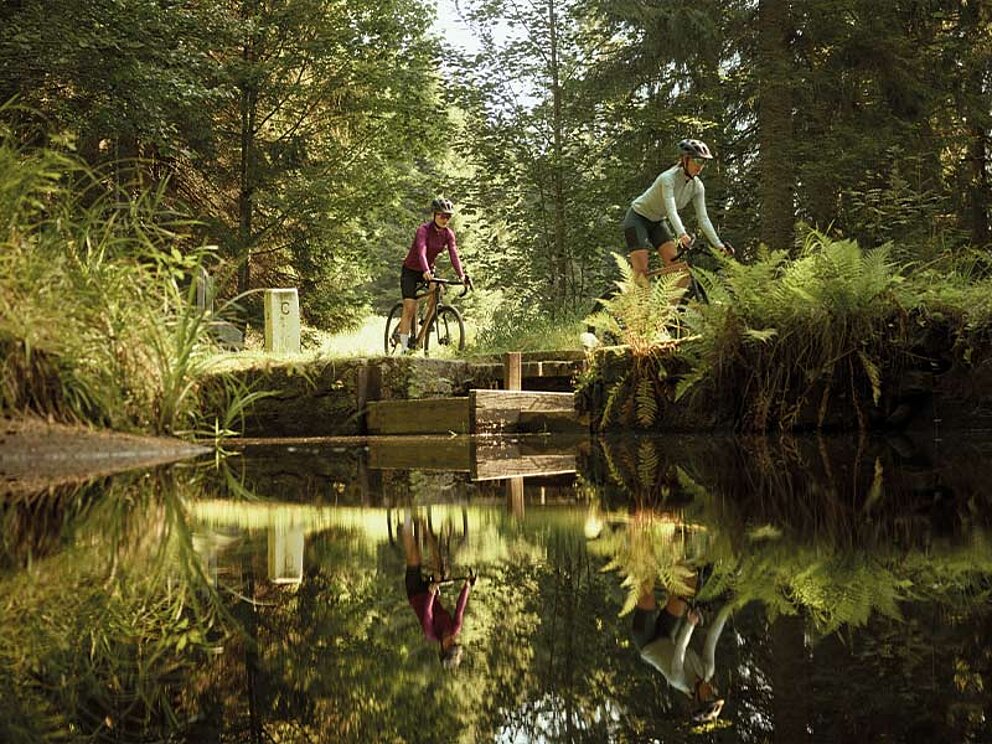 2 Damen auf Gravelbikes fahren auf einem Weg durch den Wald, vorbei an einem Teich.