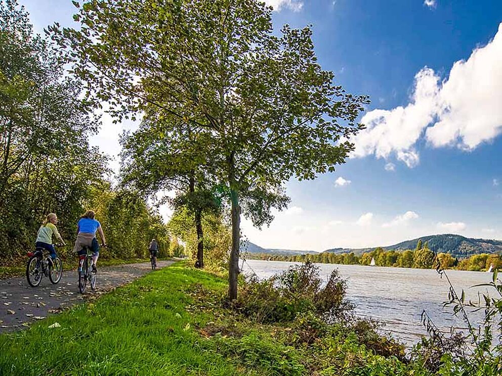 Radfahrer unterwegs am Moselradweg in Deutschland bei Trier