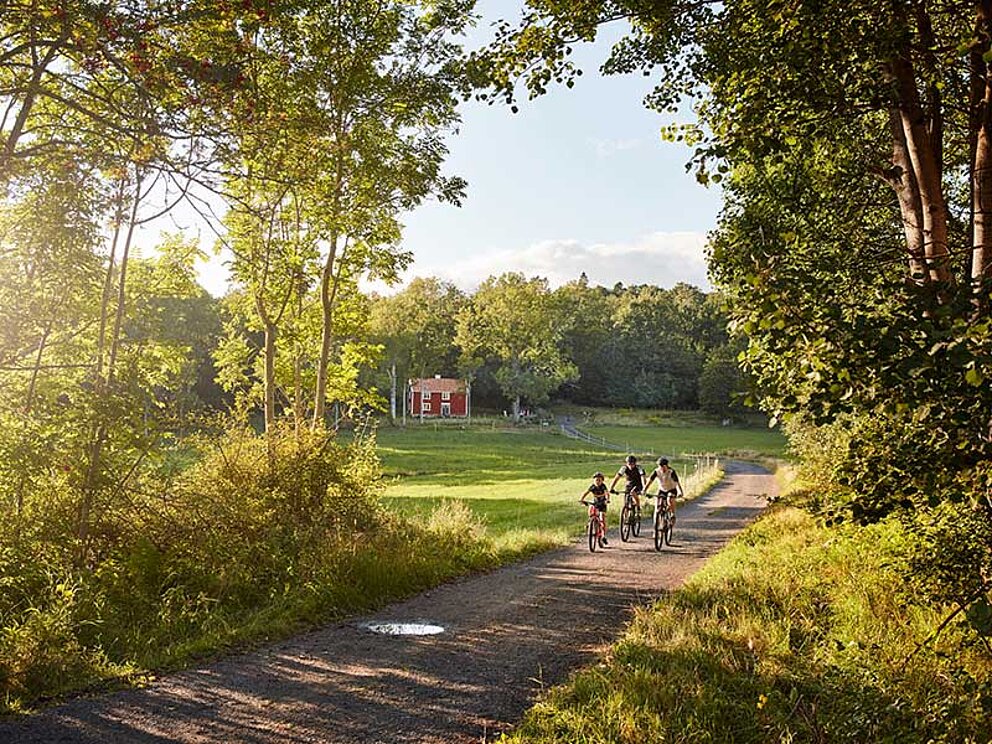 3 Radfahrer auf einem flachen Radweg in einer waldreichen Gegend. Dahinter ein rotes Schwedenhaus.