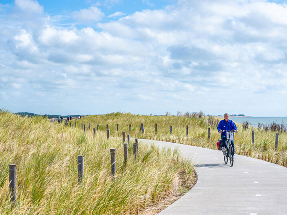 ein Radfahrer am asphaltierten Radweg