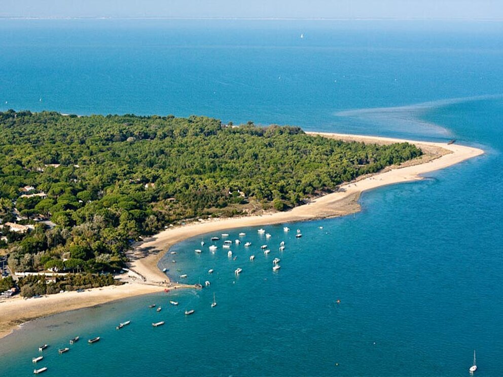 Strand von oben