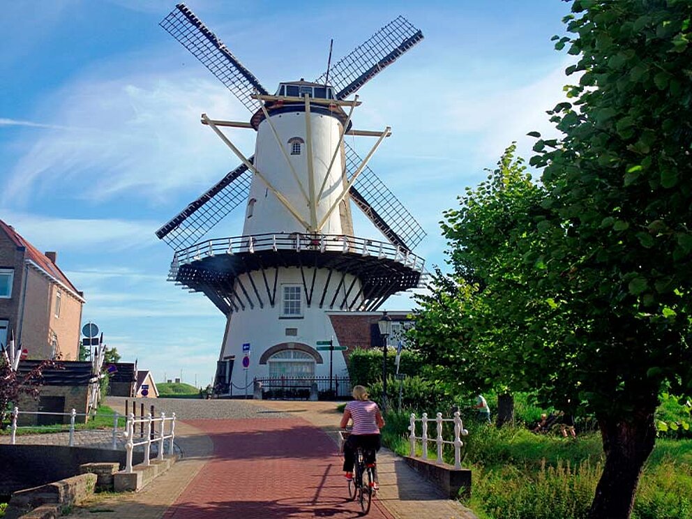 Windmühle, davor eine Radfahrerin und eine Baumallee