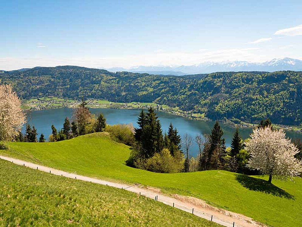 Radtour am Ossiacher See in Kärnten