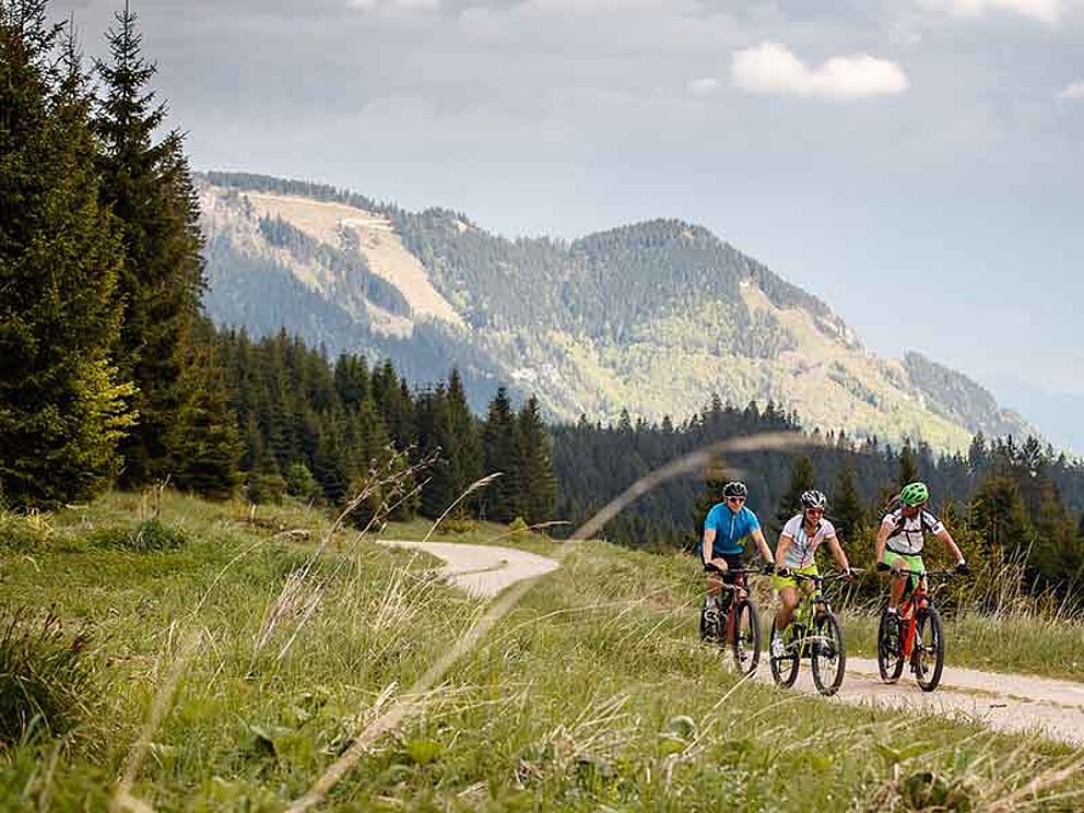 drei Biker unterwegs zur Anlaufalm im Nationalpark-Kalkalpen