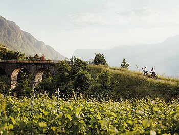 2 Radfahrer stehen auf einem Radweg, der über ein Viadukt führt.
