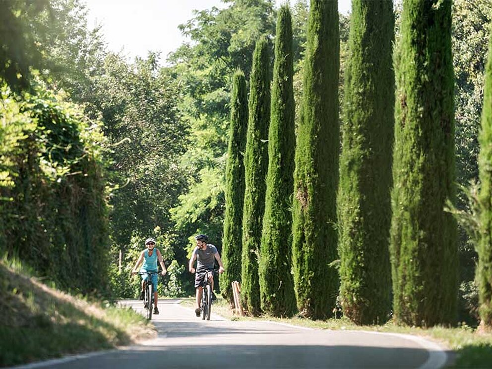 2 Radfahrer am Radweg neben Zypressen