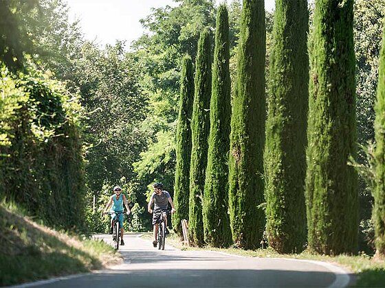 2 Radfahrer am Radweg neben Zypressen