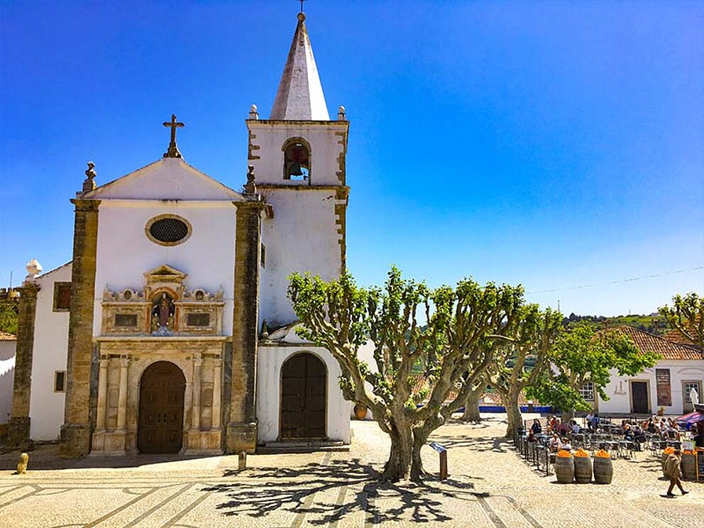 Außenansicht einer Kirche, daneben ein großer Baum