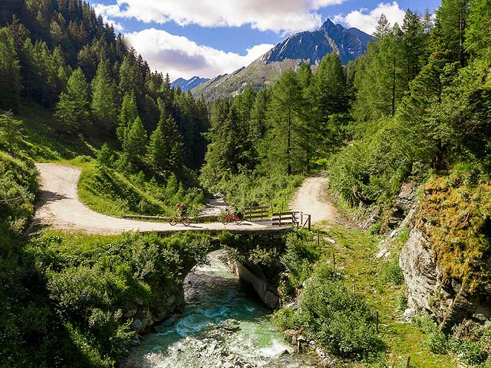 Landschaft entlang des Murradweges in der Steiermark