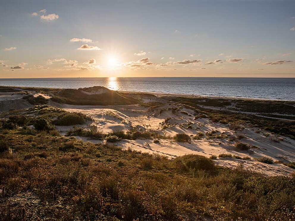 Dünen im Sonnenuntergang