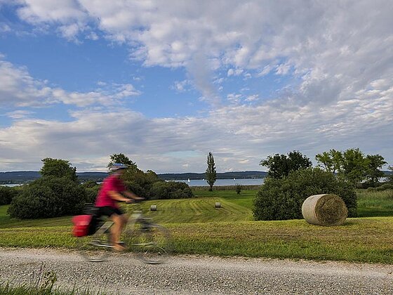 Ein Radfahrer im Schotterweg, im Hintergrund der Bodensee
