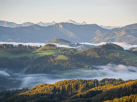 Blick in die Nationalpark Region Kalkalpen bis zum Gebirge am Horizont.