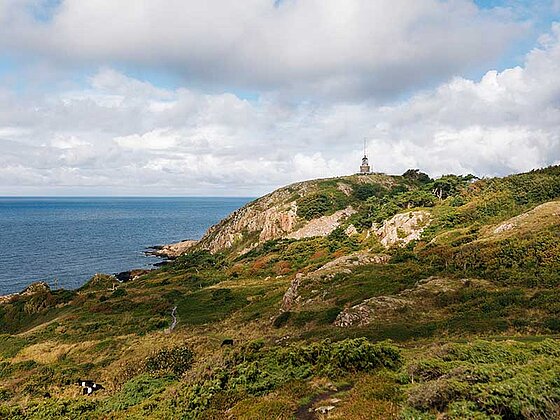 Der Wanderweg vor der Küste von Skane n Schweden