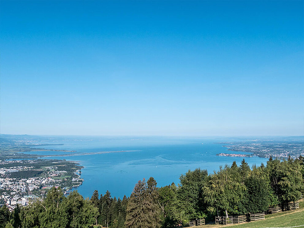Blick auf den Bodensee