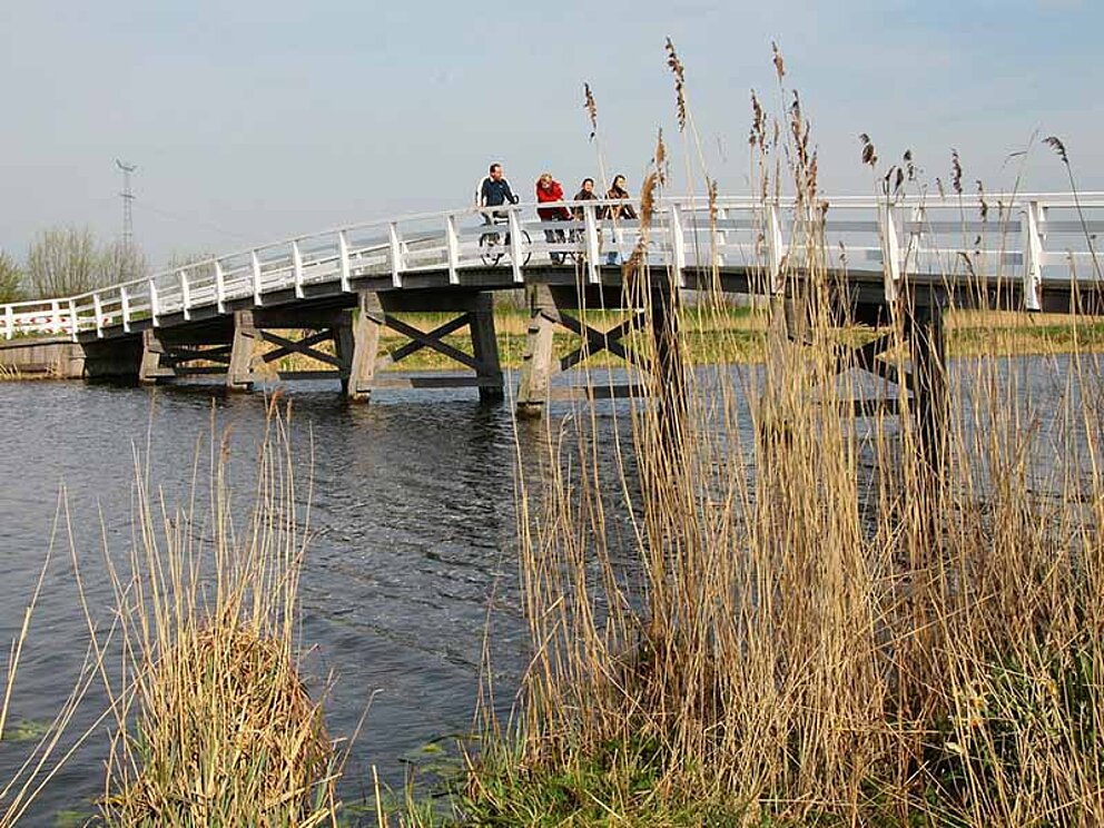 Radfahren über Wasser in Kinderdijk in den Niederlanden