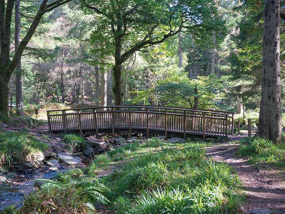 Eine Brücke über einen Bach im Queen Elizabeth Park.