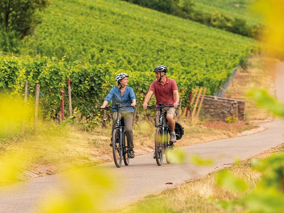 2 Radfahrer am Radweg, der durch einen Weingarten führt