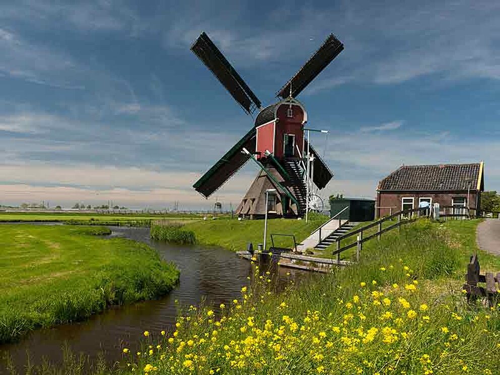 Windmühle in Holland