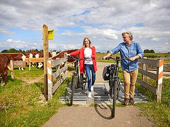 2 Radfahrer schieben ihre Räder über ein Brückchen, im Hintergrund Kühe