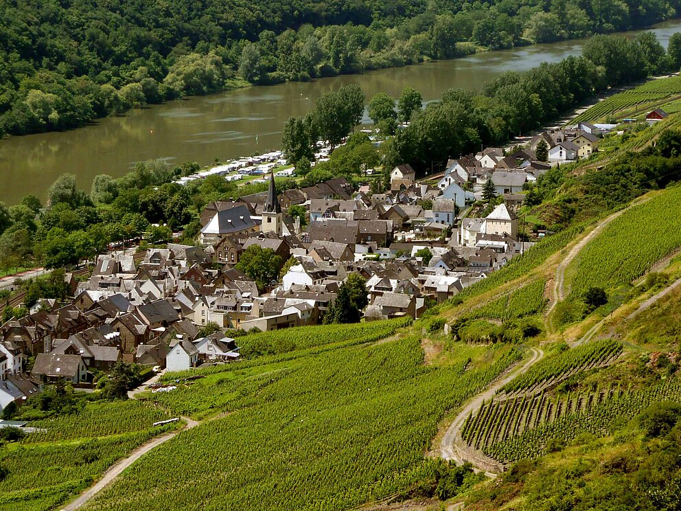 Ortsansicht von Pommern im Gebiet Treis-Karden am Moselradweg in Deutschland