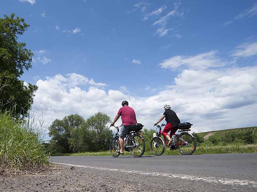 zwei Radfahrer auf der Straße am Moselradweg in Deutschland