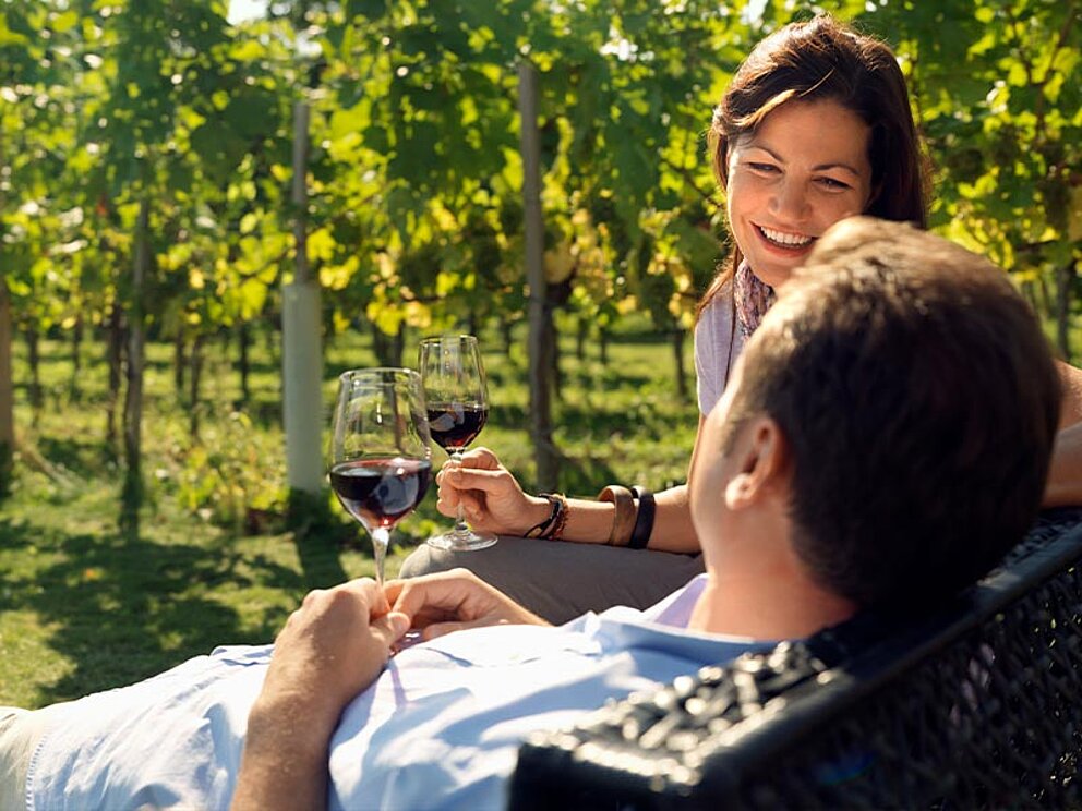 Weinwelt im Kamptal