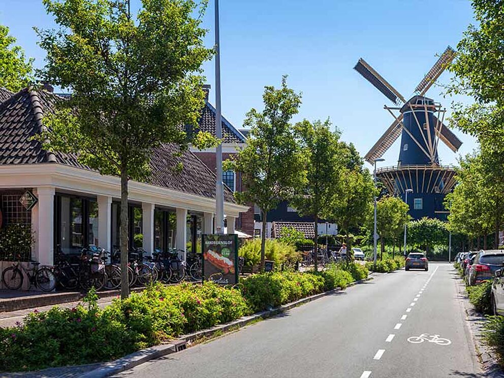 am Ende der Straße eine Windmühle