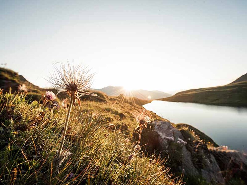Sonnenaufgang im Tuxertal am Torsee am Innradweg