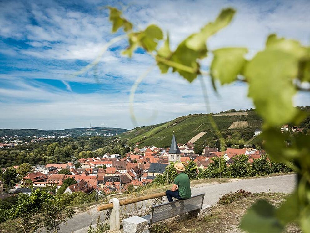Blick über Würzburg
