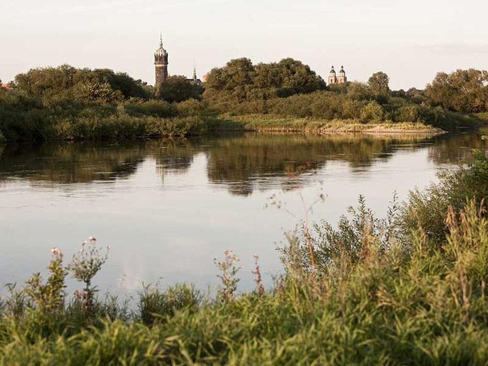 Elbaulandschaft mit Schlosskirche Wittenberg. Im Vordergrund der Fluss Elbe.