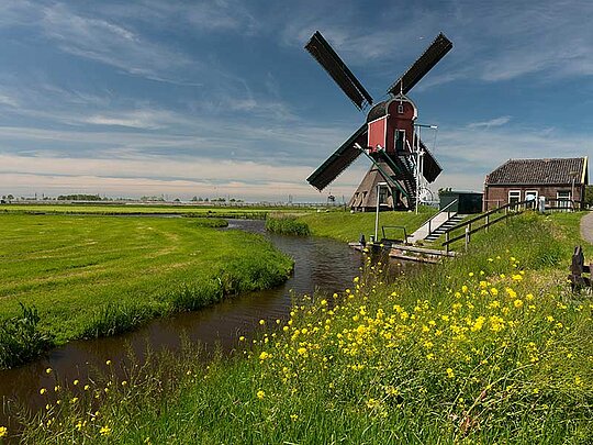 Eine Windmühle an einem Bach, umgeben von Wiesen