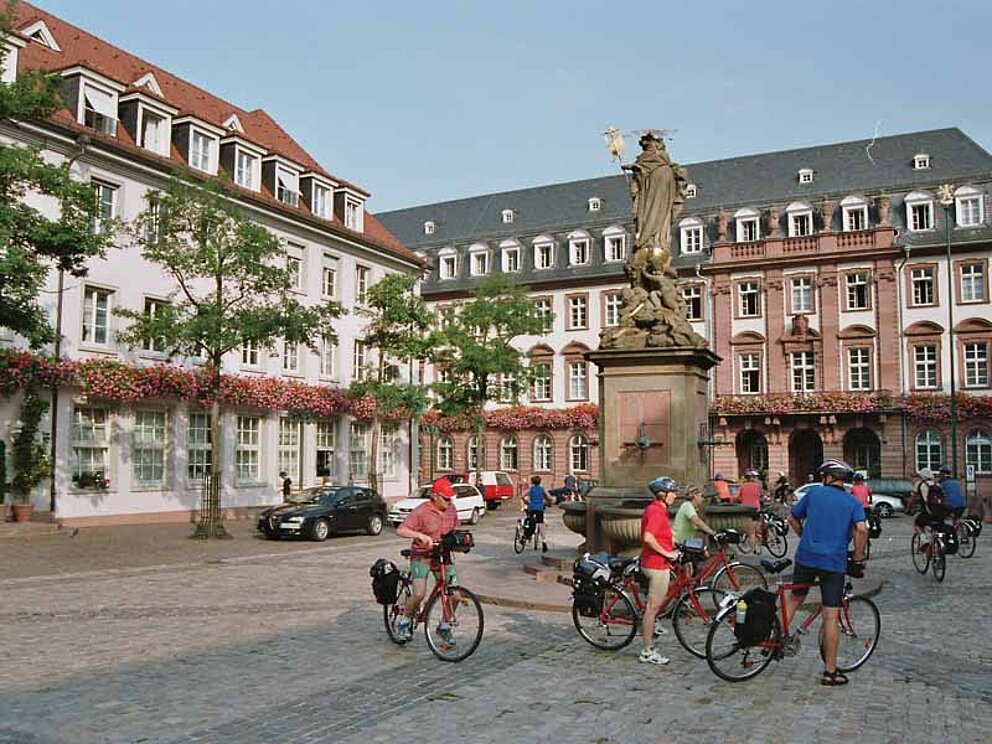 Radfahrer am Rheinradweg in Heidelberg