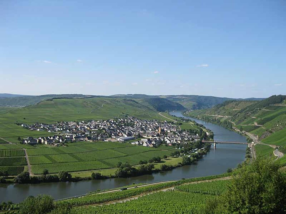Trittenheim an der Mosel