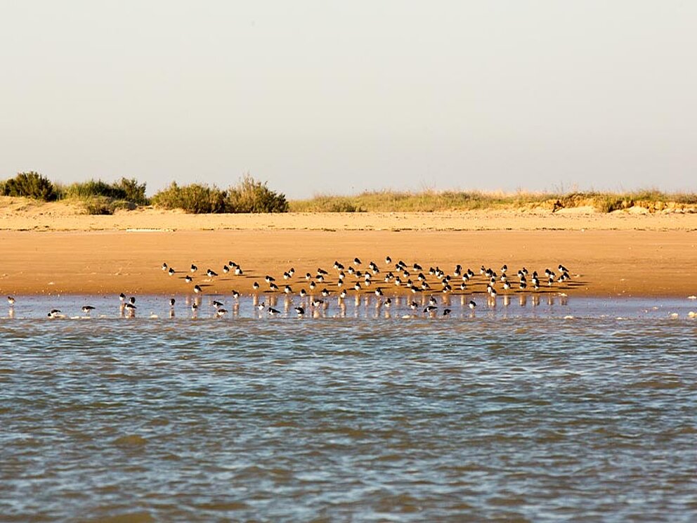 Strand mit Meer