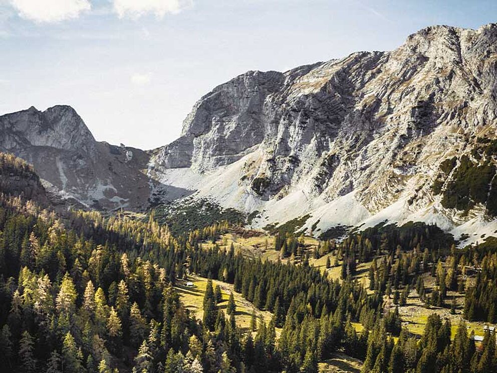 Wälder, Berge und Wolken