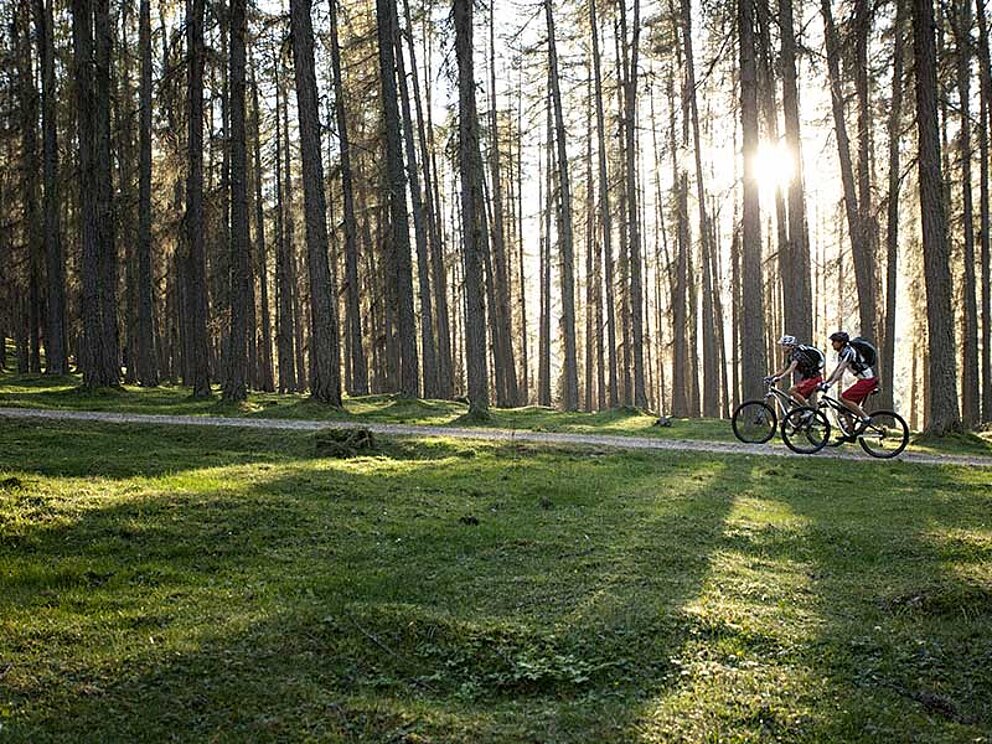 2 Biker nehmen einen leichten Anstieg am Waldrand. Durch die Bäume blinzeln Sonnenstrahlen.